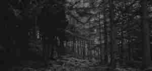 Decorative background image