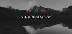 Strategy Group Venture Strategy