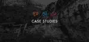 Strategy Group Case Studies