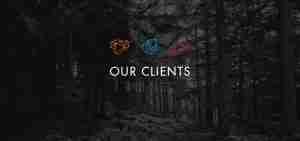 Strategy Group Our Clients