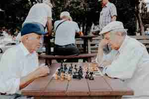Two elderly males playing chess at a park