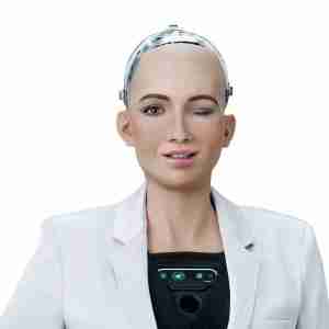 Human Robot, AI empathy or high-level imitation?