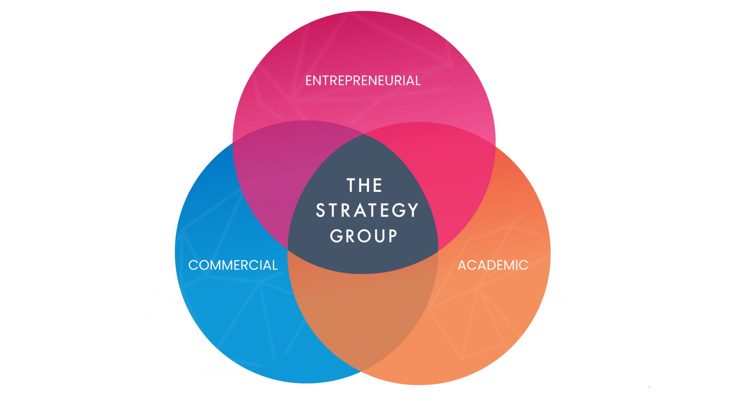 Venn Diagram 1 The Strategy Group Unique Perspective