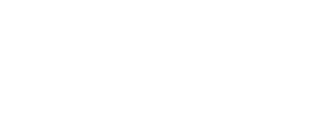 employee experience white employee experience, Defining Blacktown City Council’s Unique Employee Value Proposition (EVP)