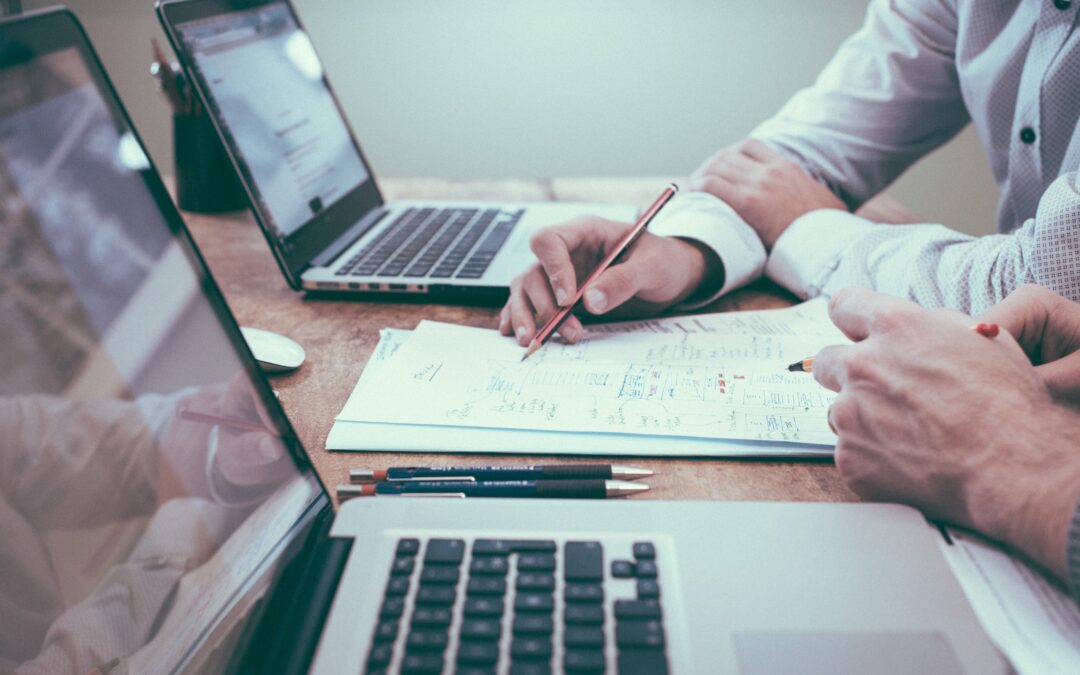 The Role of Consultants in Government: A Strategy Consultant’s Perspective