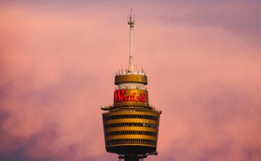 Rapidly Developing 3 Startups for Scentre Group (Westfield)